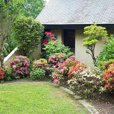 Jardin Des Chats Sévignacq-Meyracq Exterior foto